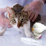 Pheromone Diffuser for Cats - Image 4