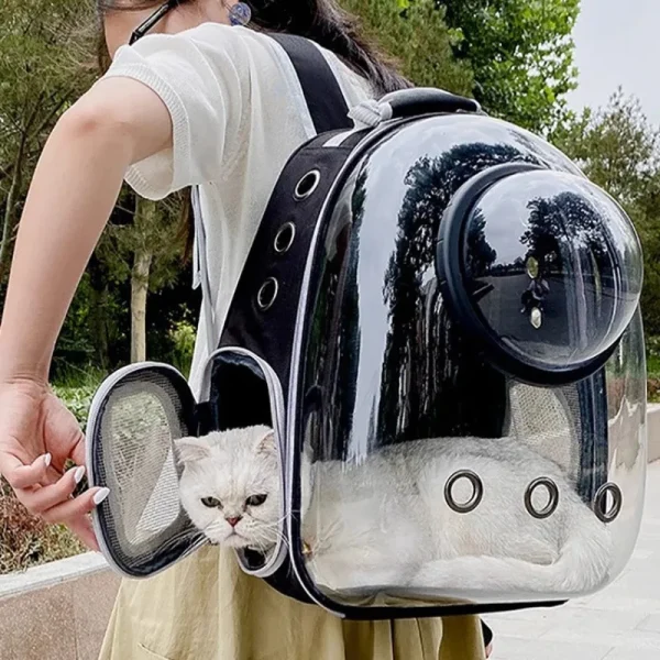 Transparent Cat Bag Carrier Transparent Cat Bag Carrier