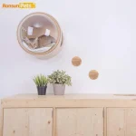 Closed Hanging Wall Clear Cover Cat Crawl Platform - Space Capsule Cat Nest, Fully Sealed - Image 2