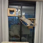 Cat Tower Condo Toy - Solid Wood, No Punching, Sucker Scratching Post, Climbing Tree Frame - Image 3