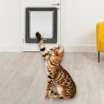 Cat Flap Door with 4 Way Security Lock - Image 5
