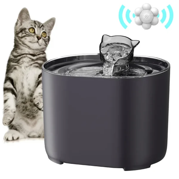 water fountain