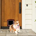 4 Way Locking Large Cat Door / Flap Weatherproof for Wooden PVC or Metal Door - Image 3